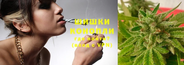 spice Новозыбков