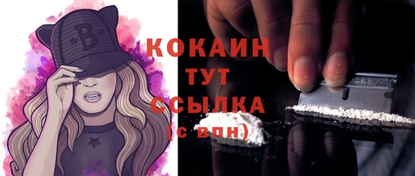 дмт Новодвинск