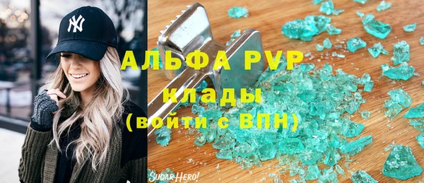 spice Новозыбков