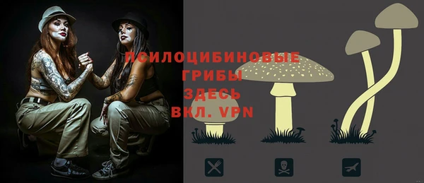 дмт Новокубанск