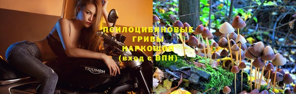 дмт Новокубанск