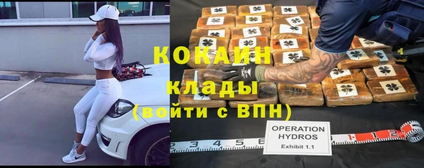 spice Новозыбков