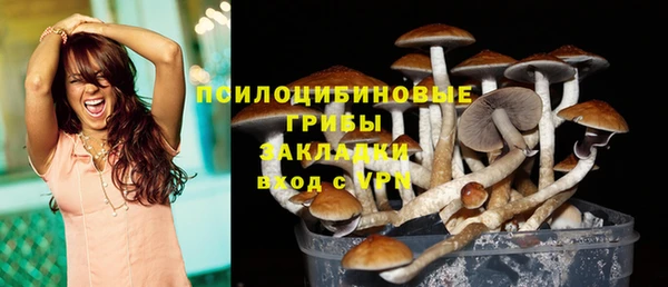 дмт Новокубанск