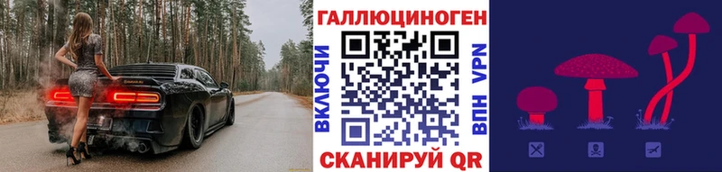 как найти наркотики  Майский  Галлюциногенные грибы Cubensis 