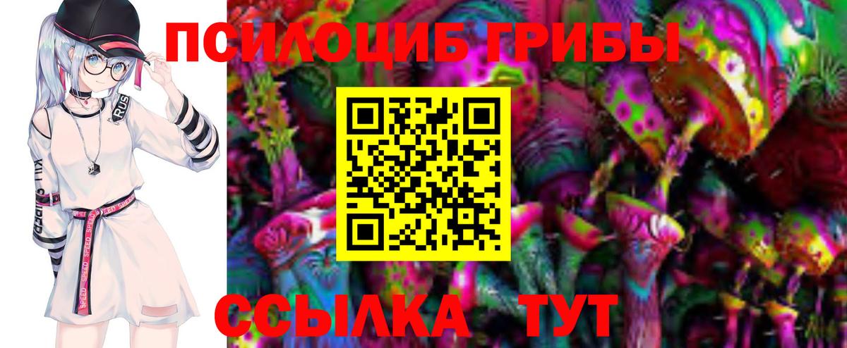 Галлюциногенные грибы GOLDEN TEACHER  Вход с VPN  Майский  Галлюциногенные грибы Cubensis 