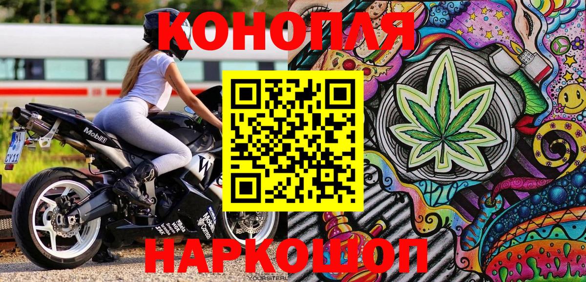 Конопля OG Kush Майский